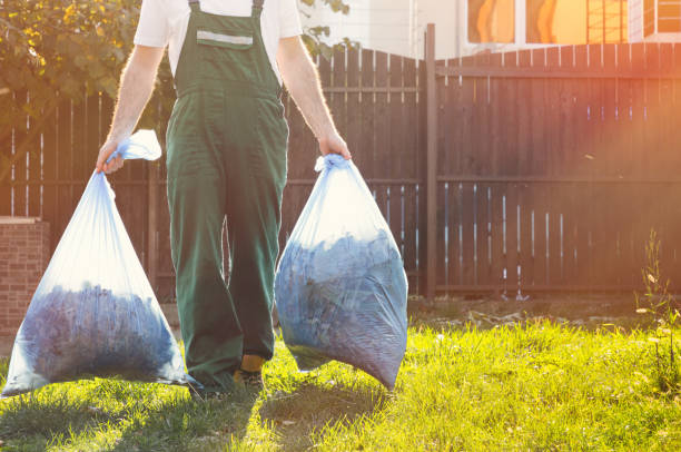Best Yard Cleanup Services  in Hyattsville, MD